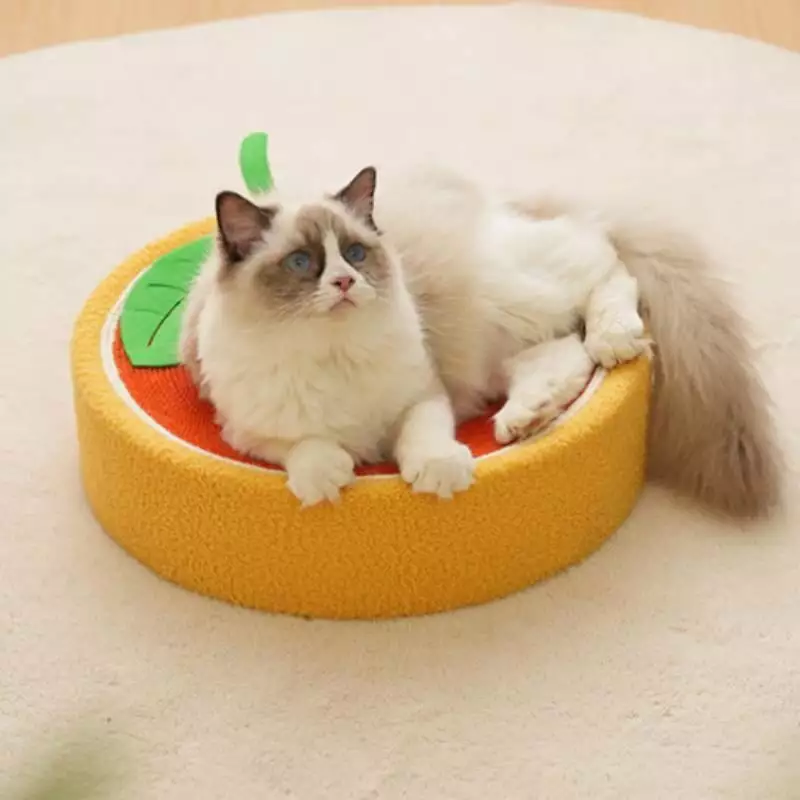 1 Piece Cat Scratching Board. Cat Scratcher. Cute Fruit Design Sisal Rope Round