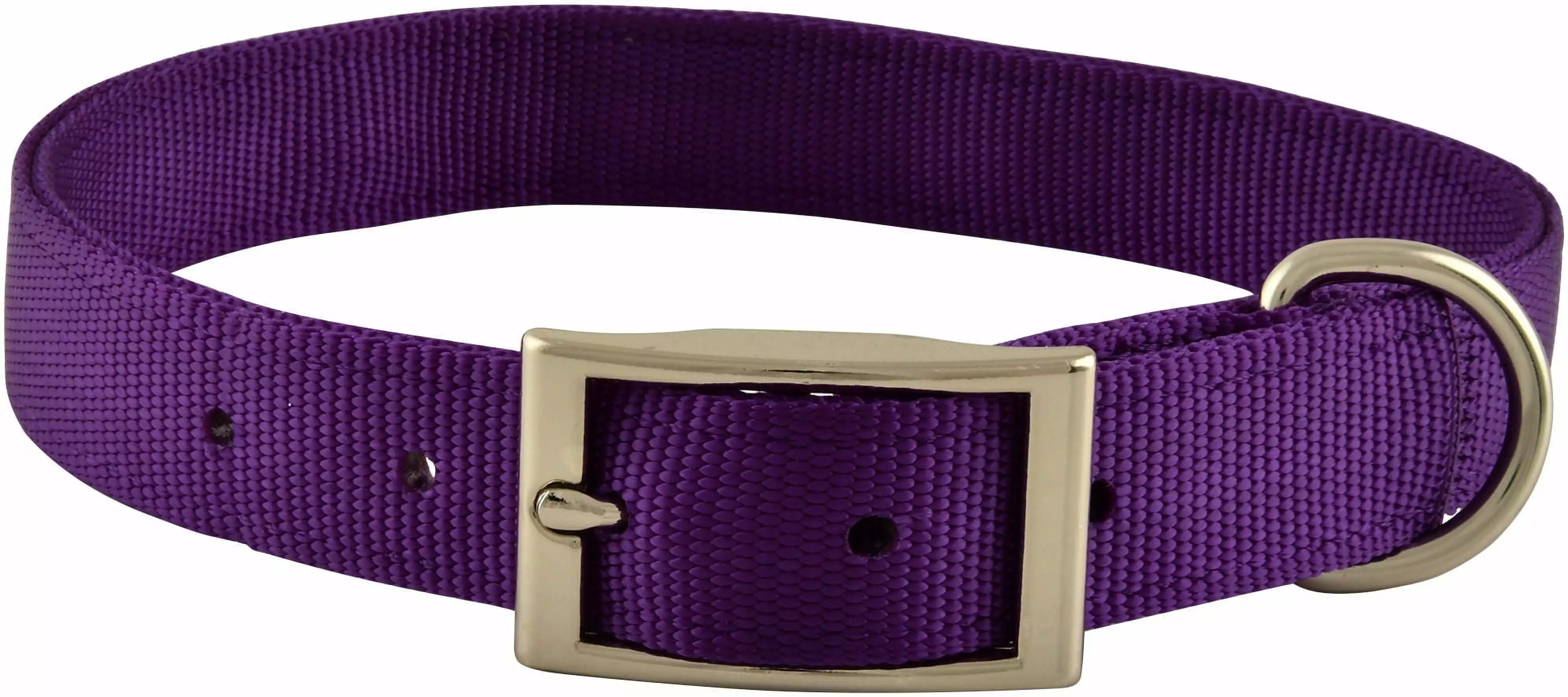 1x22Dog Collar Color: Purple