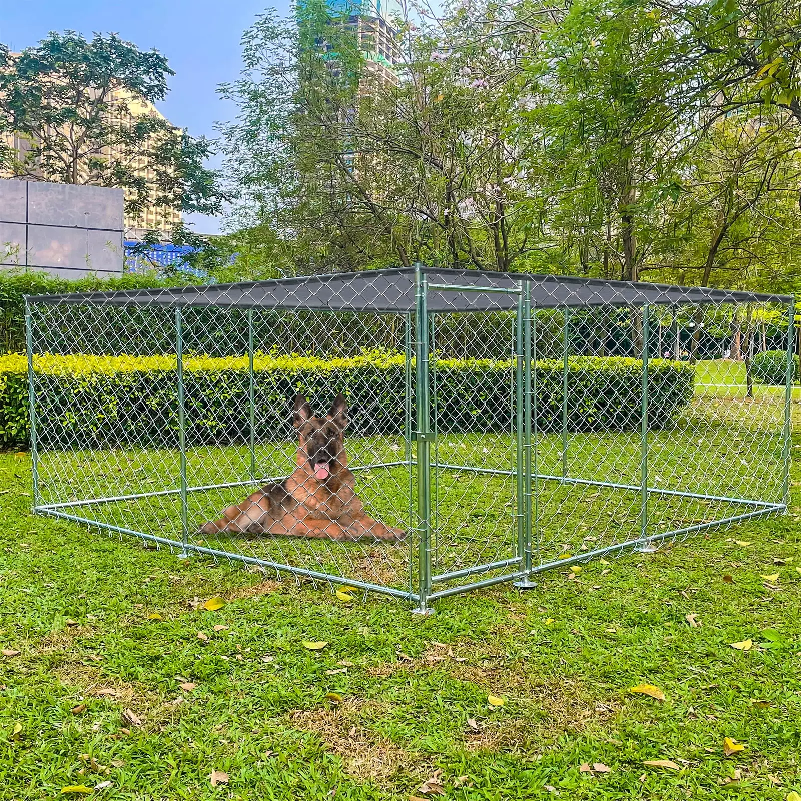 10 x 10ft Large Outdoor Dog Run Kennel. Outside Pet Enclosure with Galvanized Chain Link. Heavy Duty Dog Fence Cage with Doors and Removable Cover