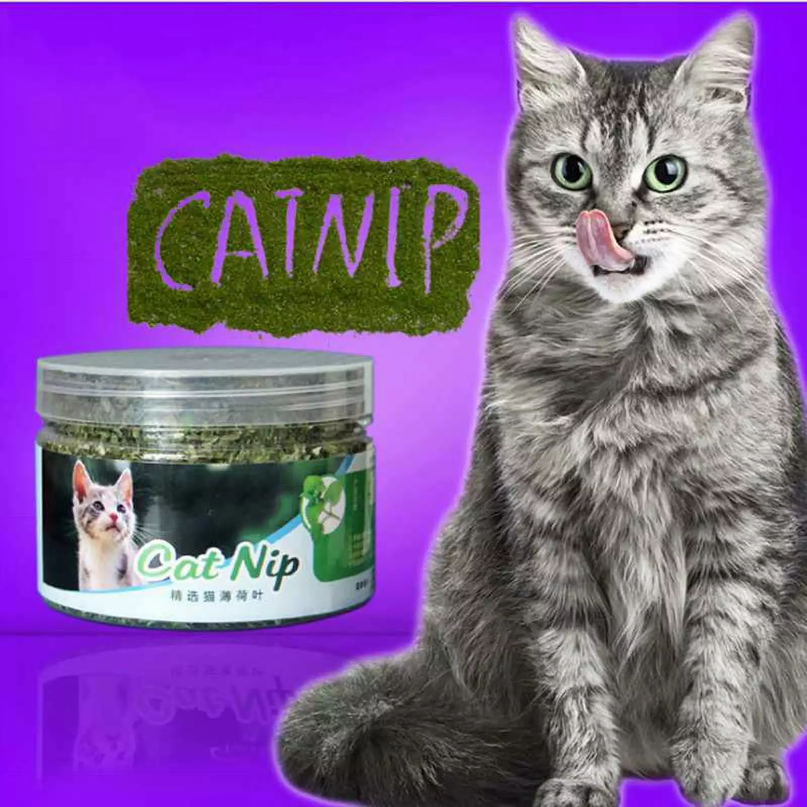 100% Natural Organic Premium Catnip Catmint 10/20/30g Menthol Flavor Dry Cat Treats Funny Kitten Toys