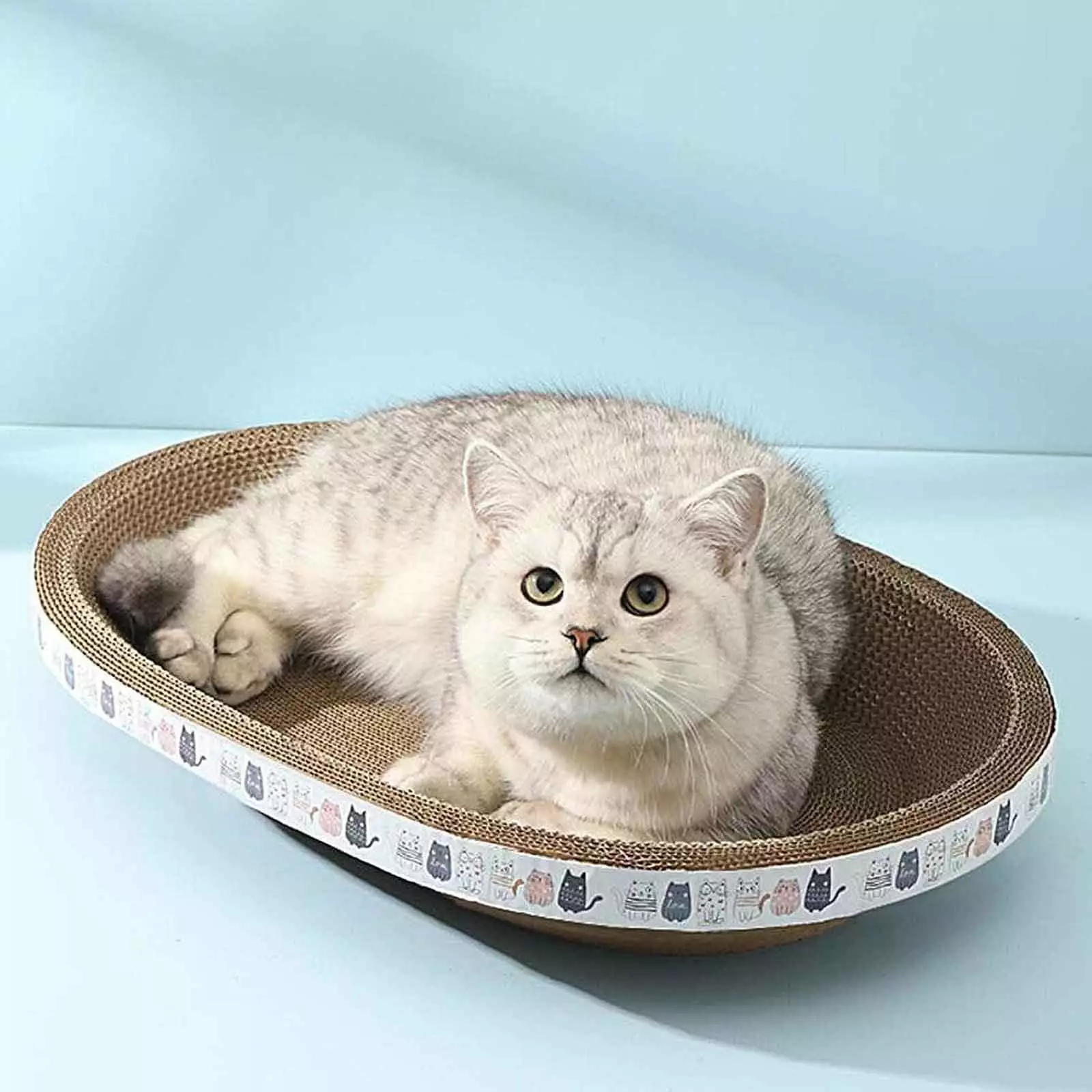 17 Cat Scratcher Bowl. Cardboard Bed Lounge Couch for Indoor Cats. Cat Scratch Pad Bowl Nest Cat Scratcher Cardboard Bed. Cat Scratching Lounge Bed. Cat Scratcher. Cat Scratching Board Pad