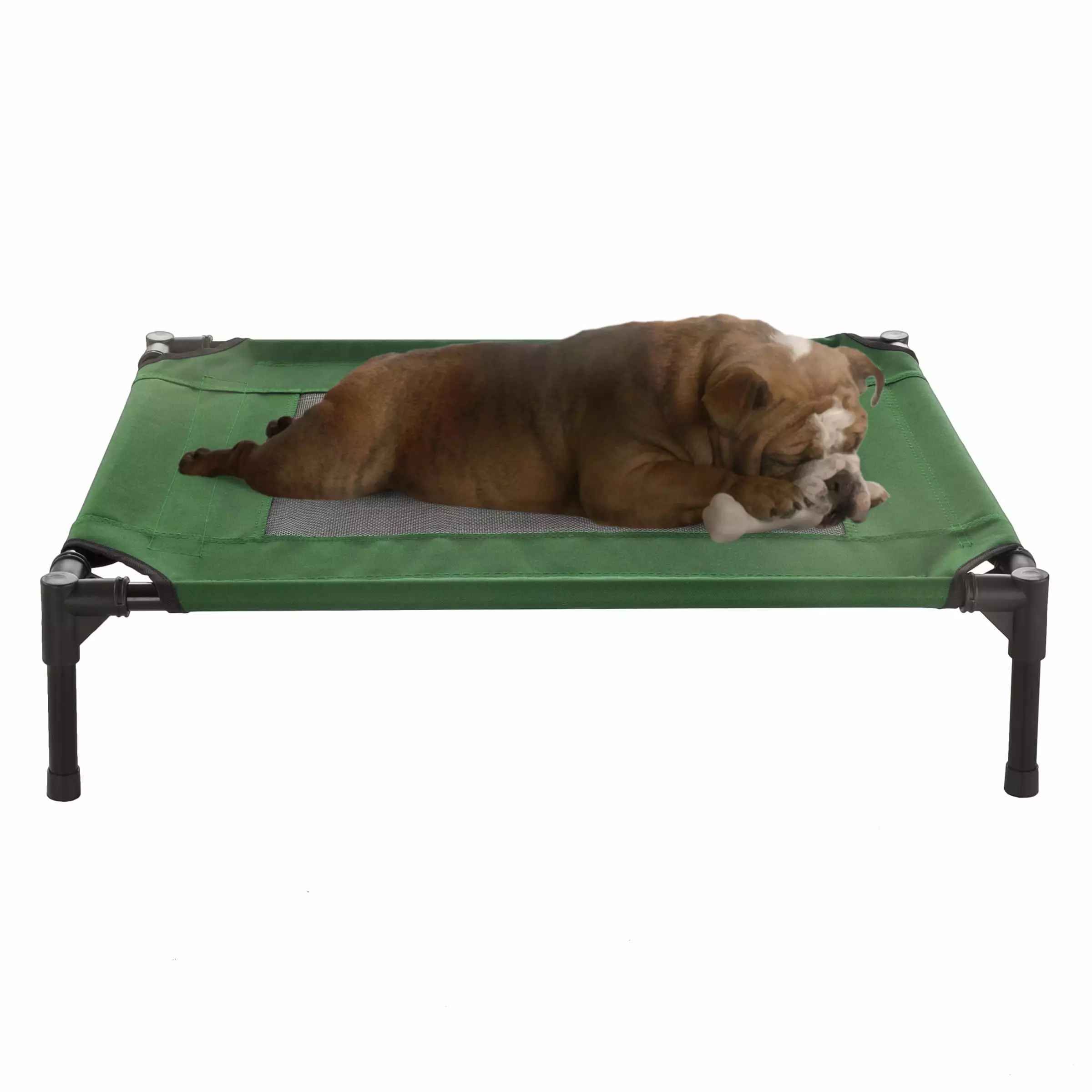 30x24 Portable elevated Bed for Pets with Non-Slip feet -Pets up to 50lbs (Green)