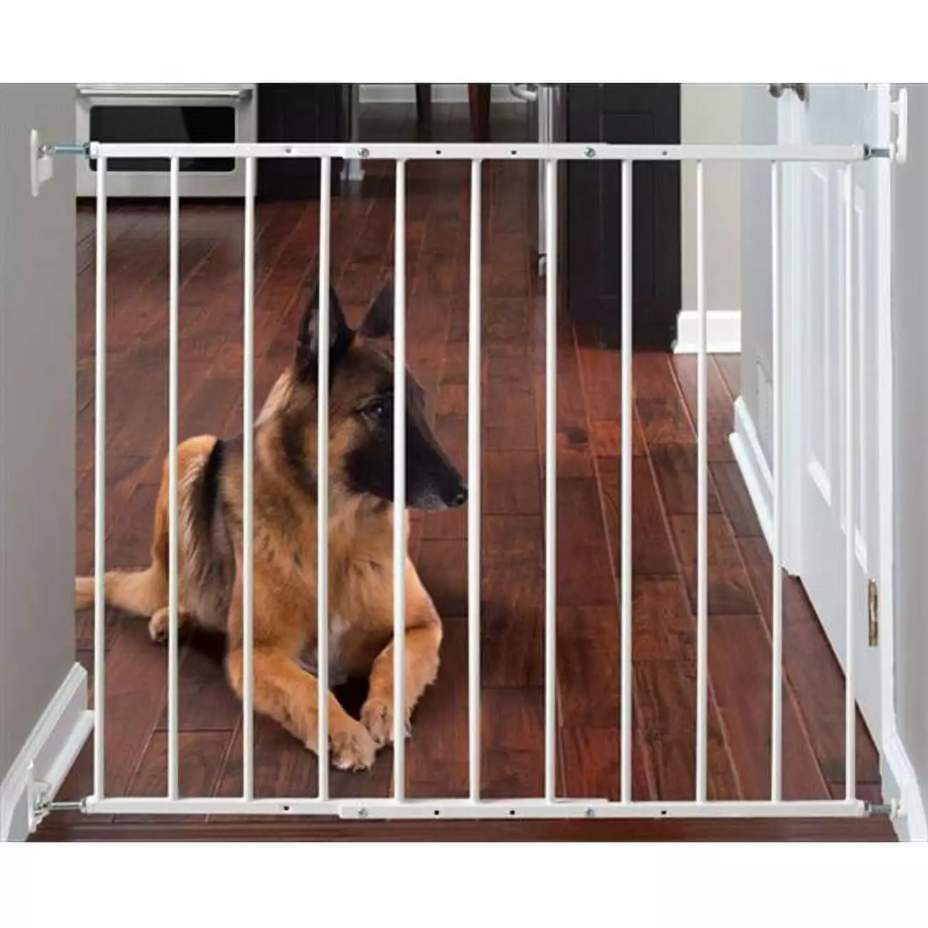 31 in. Wall Mounted Gate