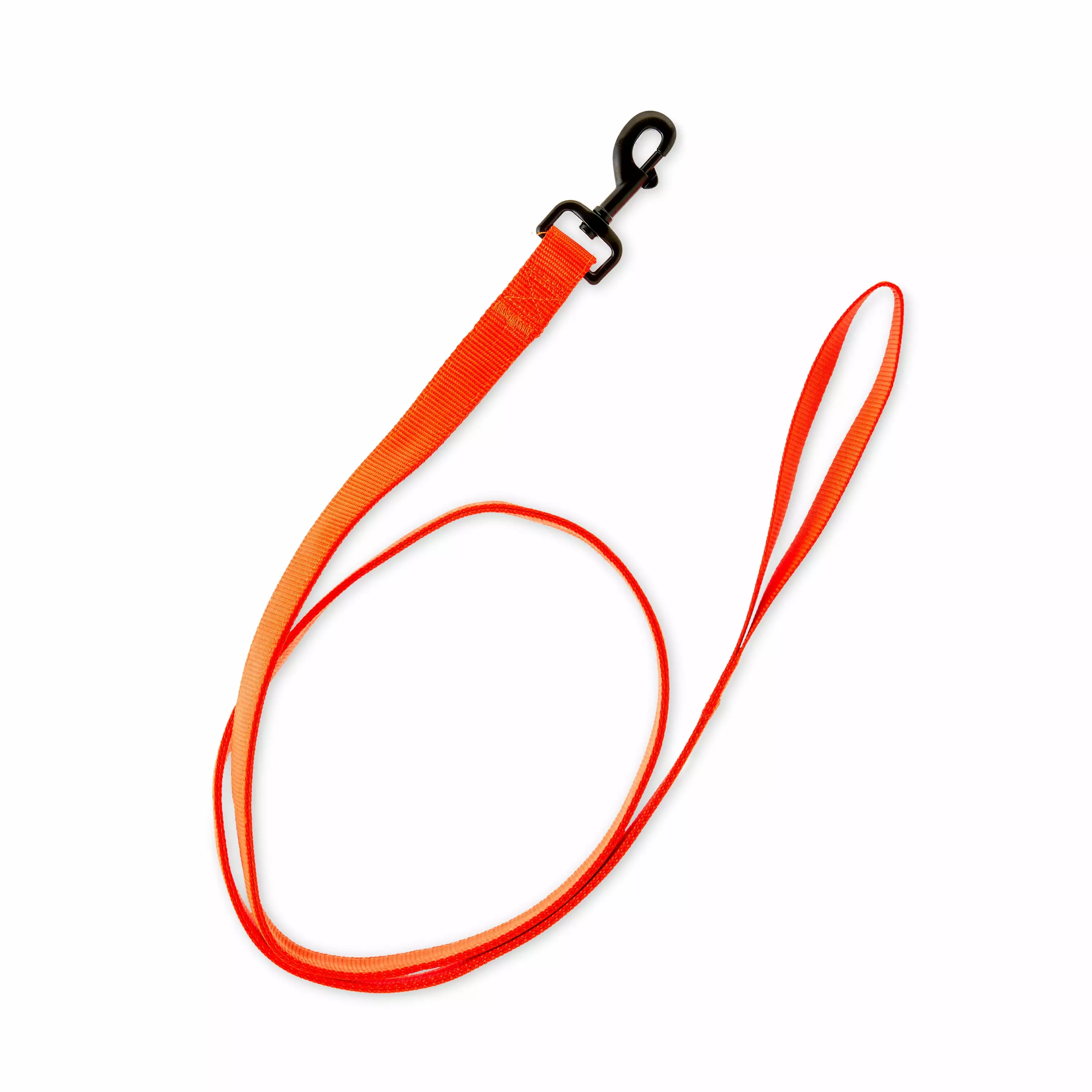 Vibrant Life 5' Nylon Metal Standard Dog Leash. Hunter Orange. L